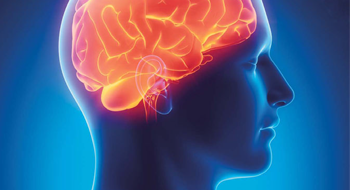 Picture of a head with the brain glowing orange.