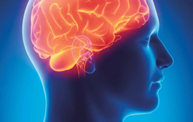 Picture of a head with the brain glowing orange.