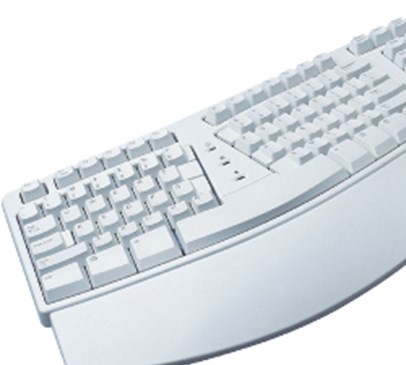 AbilityNet guide to using a computer after brain injury Main Image