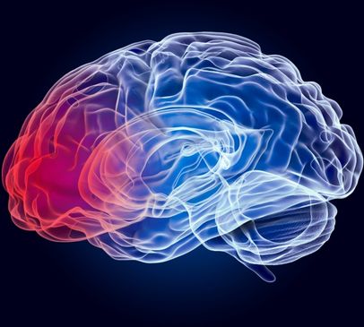 Study finds concussion ‘worsens brain function’ Main Image