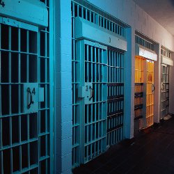 Calls for more support for young offenders welcomed Main Image