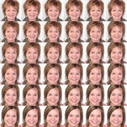 Is face recognition best explained by generic expertise? Main Image