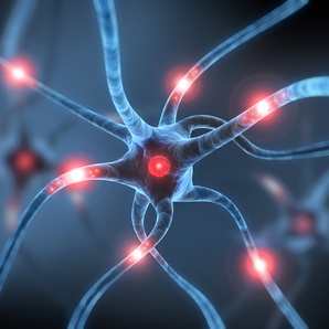 A neurological revolution? Obama launches BRAIN Initiative Main Image