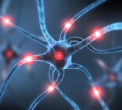 Evidence of plasticity in the visual system Main Image