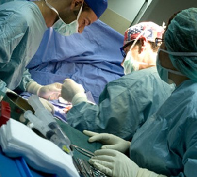 Sex hormone could improve outcome after brain injury Main Image