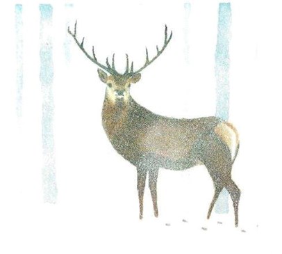 Talented Rodney wins Christmas card competition Main Image