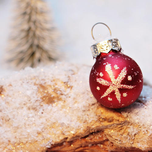 How to survive or thrive at Christmas Main Image