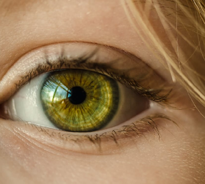 Visual dysfunction is underestimated in patients with acquired brain injury Main Image