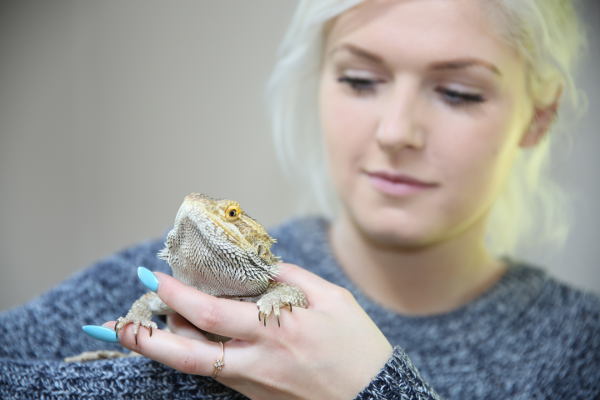 Headway Exhibition: Jessica