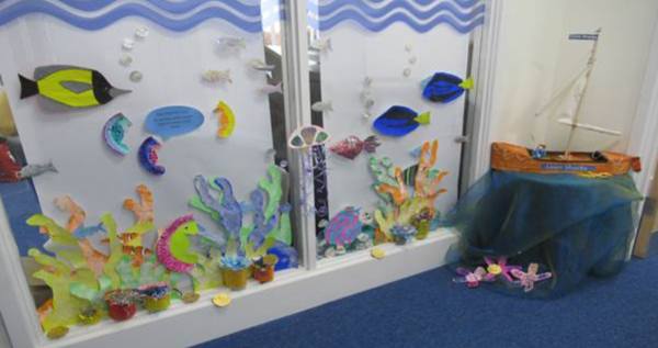 Shark display