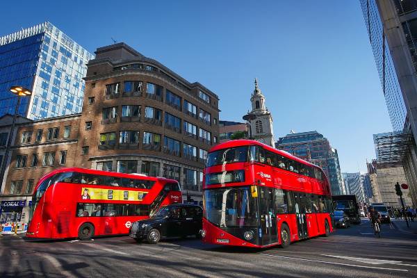 Stop the bus! A guide to public transport