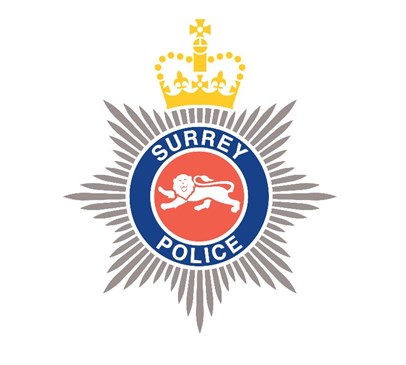 Headway delivers vital brain injury training to Surrey Police Main Image