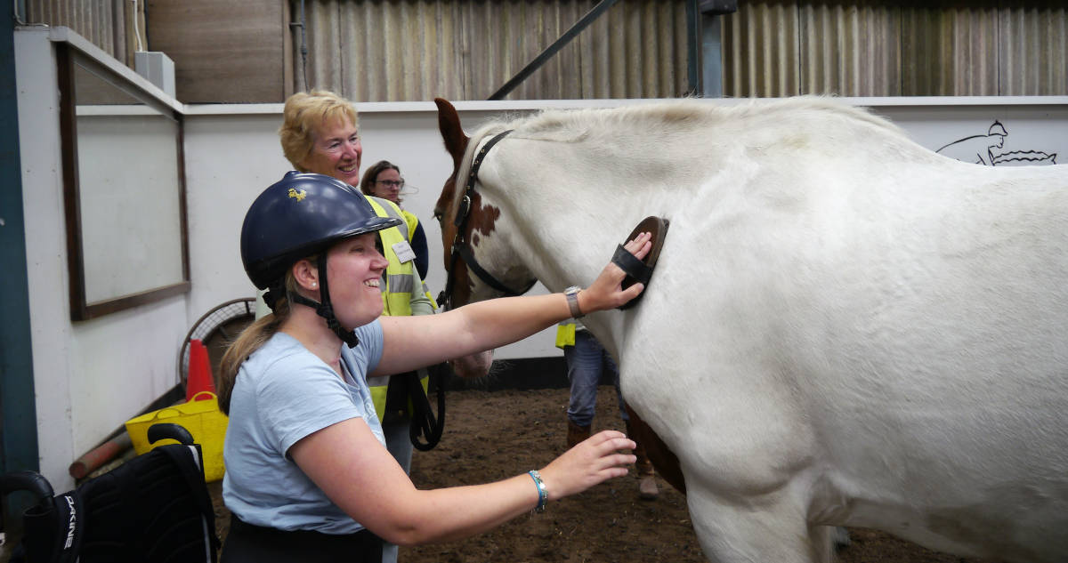 "We're all going on an assisted holiday"