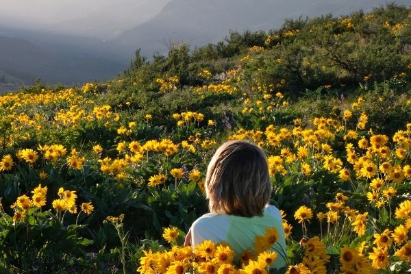 Mindfulness Training after Brain Injury with Dr Niels Detert