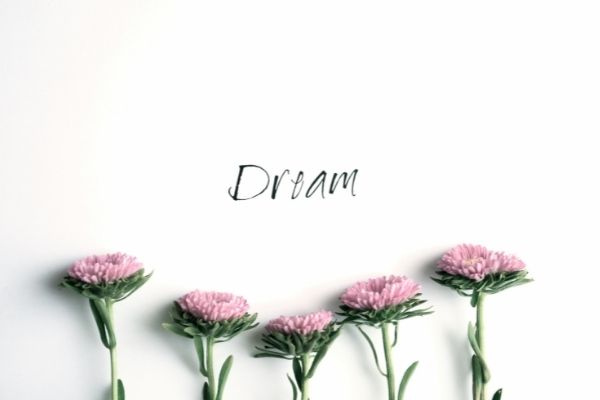 Exploring your dreams