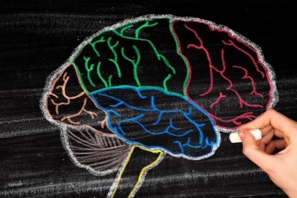 Executive dysfunction explained